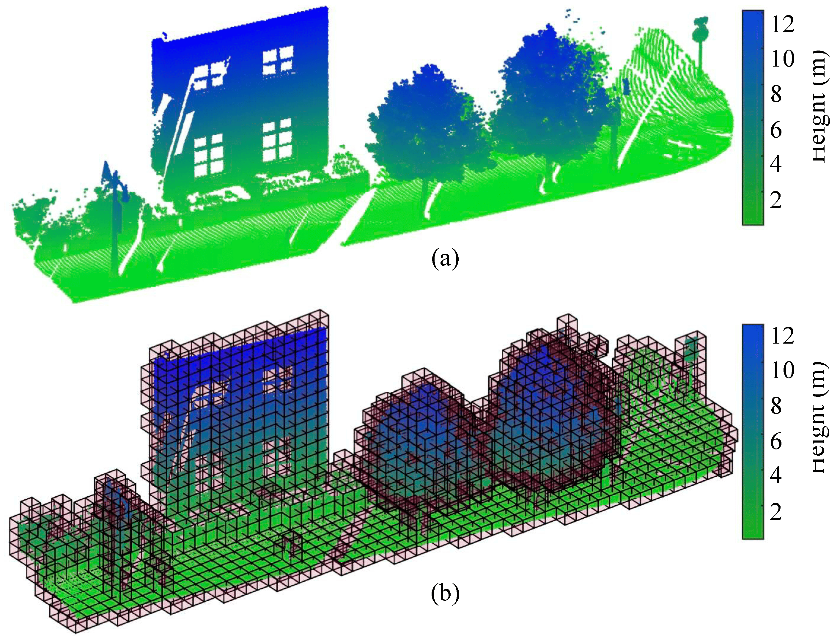 A point cloud and the representation of its voxel grid