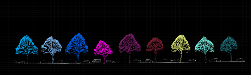 Point cloud after tree segmentation
