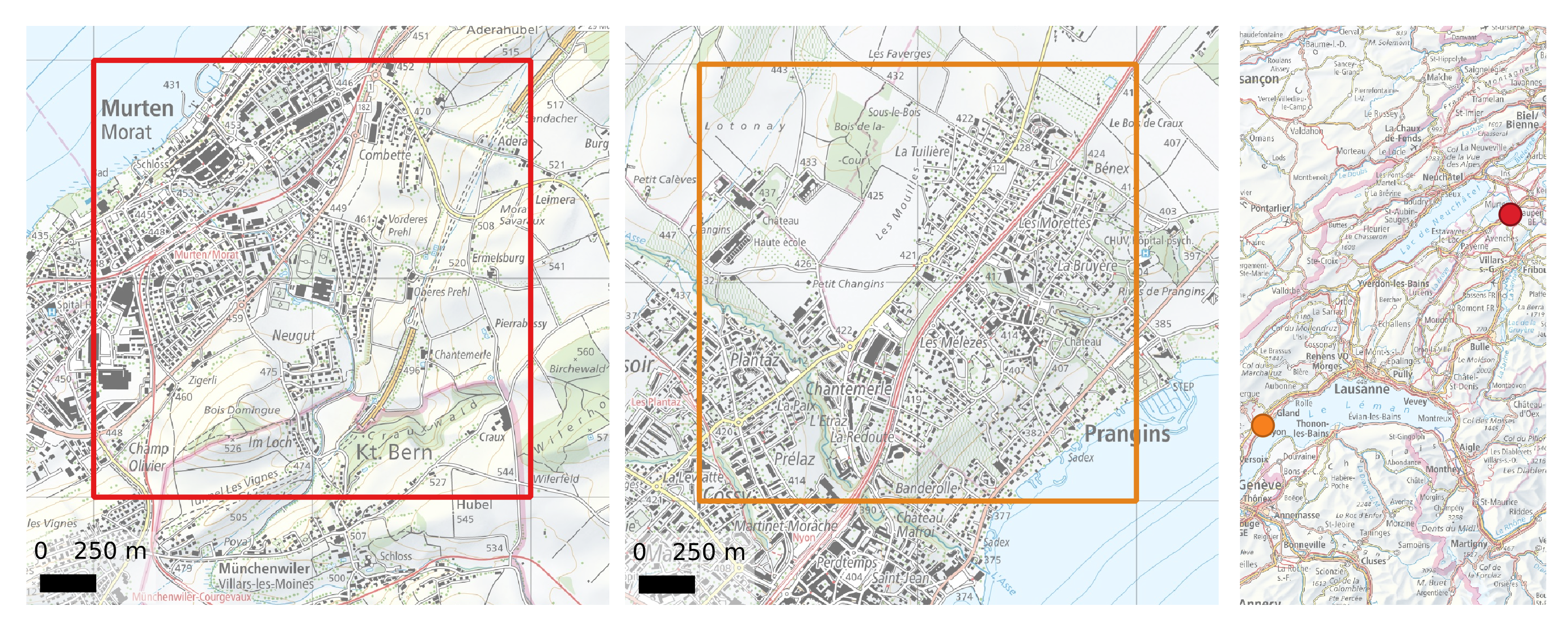 both_dataset