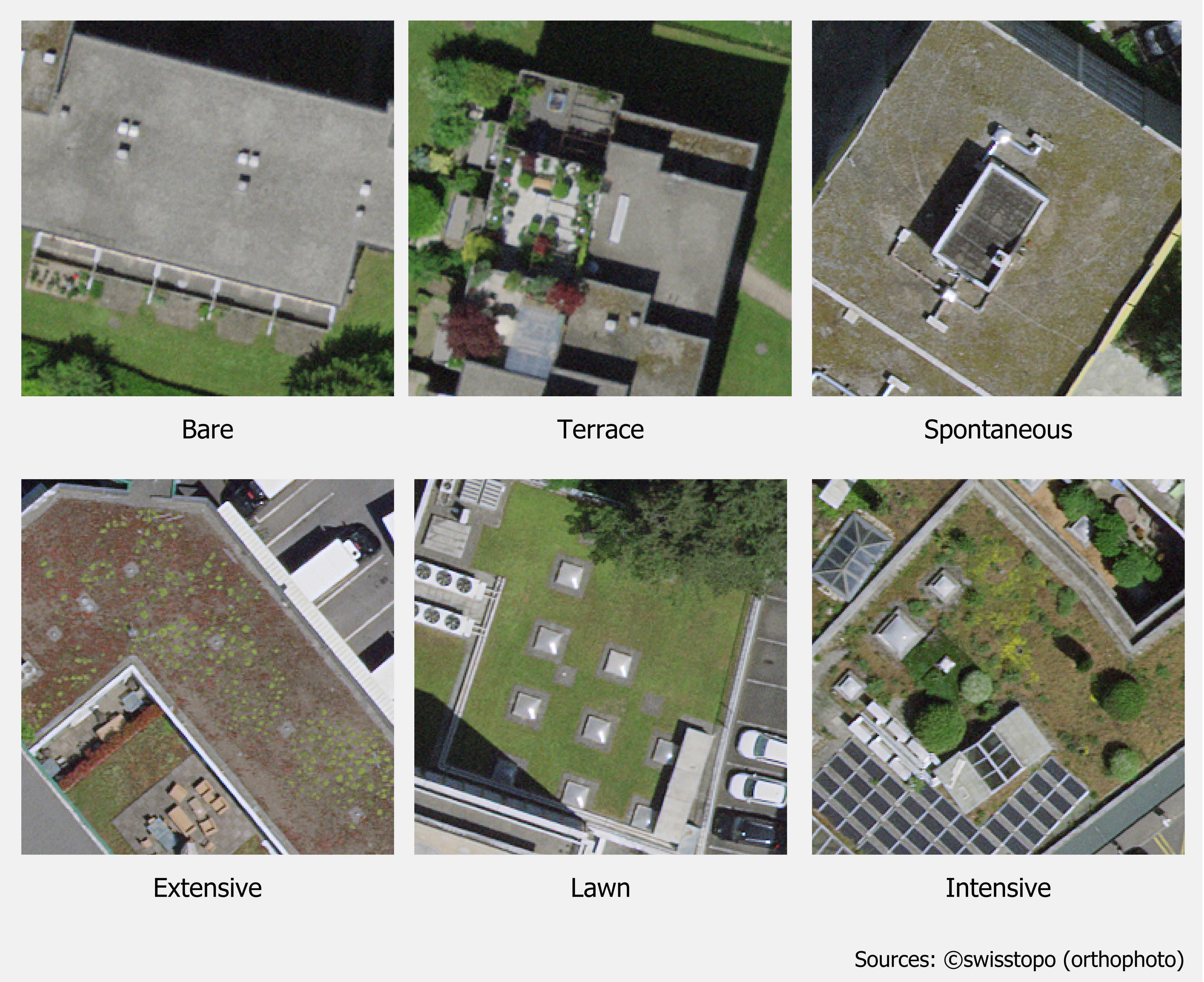 Green roof classes